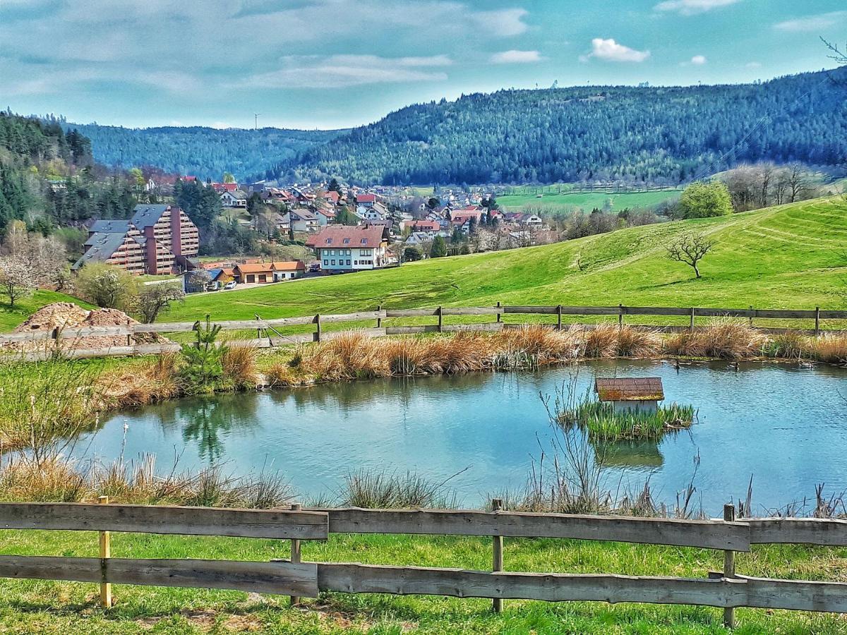 Schwarzwald Woelkchen Lejlighed Baiersbronn Eksteriør billede
